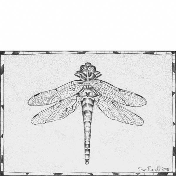 Glandernol Dragonfly