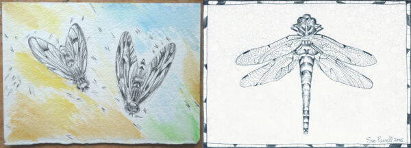 Winged Creatures